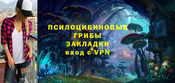 а пвп мука Верея
