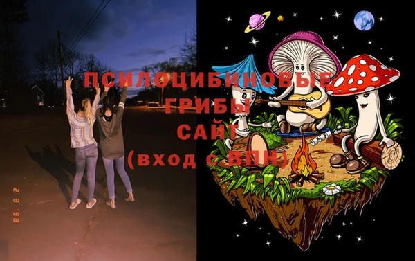 СК Верхний Тагил