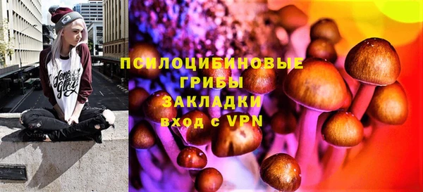 СК Верхний Тагил