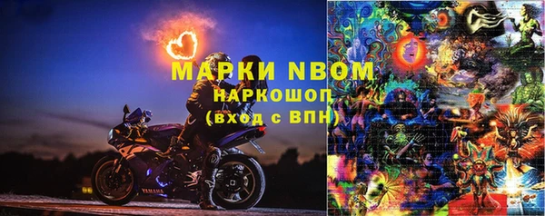 СК Верхний Тагил