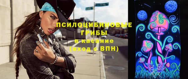 СК Верхний Тагил