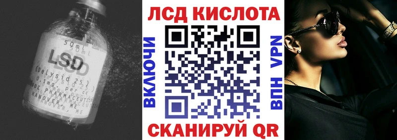 kraken как войти Владикавказ Лсд 25 экстази ecstasy
